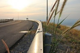 Criteri ambientali fitosanitari appalti ferrovie e strade